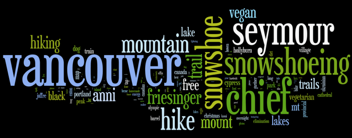Wordle 2013 Search Terms